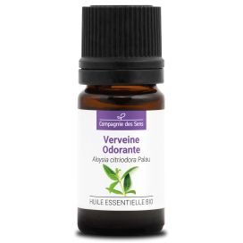 Verveine odorante 