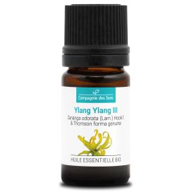 Ylang ylang iii 