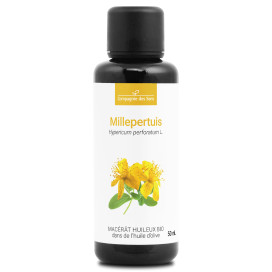 Millepertuis 