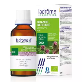 Grande bardane