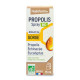 Propolis Bio - Spray Buccal