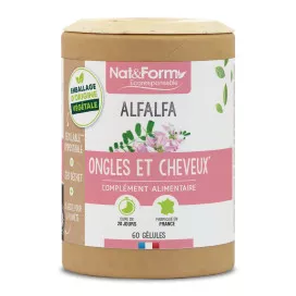 Alfalfa