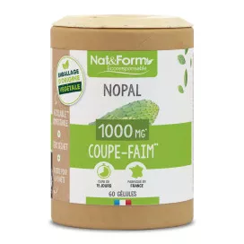 Nopal