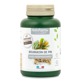 Pin (bourgeon) 