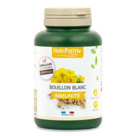 Bouillon blanc 