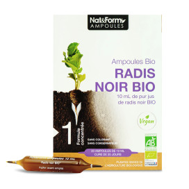 Radis noir bio 