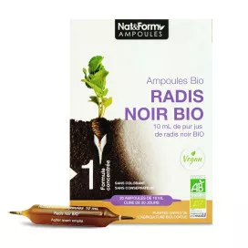 Radis Noir Bio