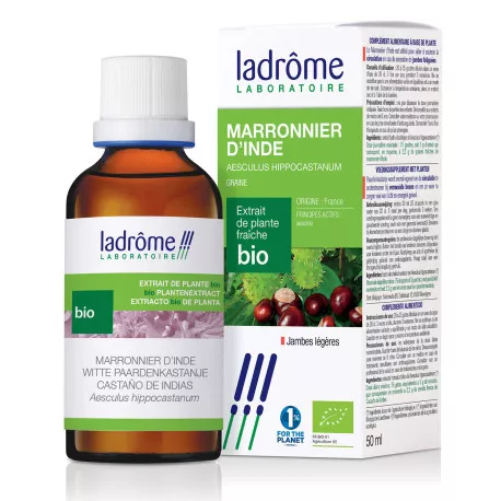Marronnier d'Inde - Teinture Mère BIO