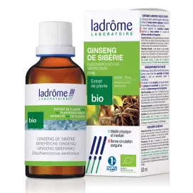 Ginseng de siberie (éleuthérocoque)