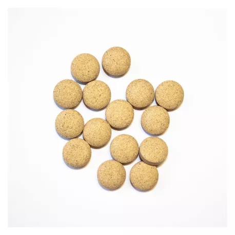 Amla BIO Extra Fort - Comprimés