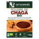 Chaga BIO - En Poudre