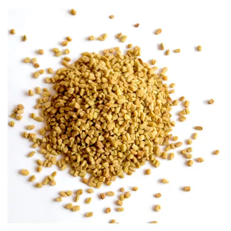 Graines de Fenugrec BIO