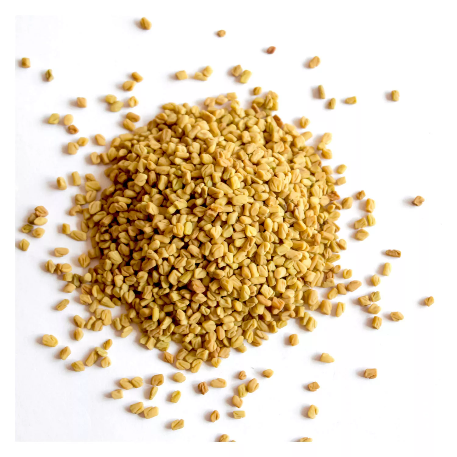Graines de Fenugrec BIO