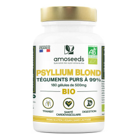 Téguments de psyllium blond bio 