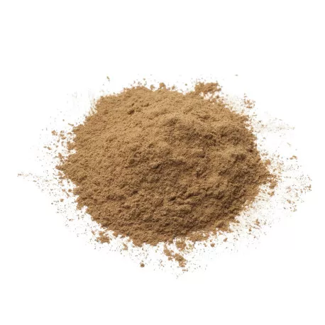 Cordyceps BIO - En Poudre