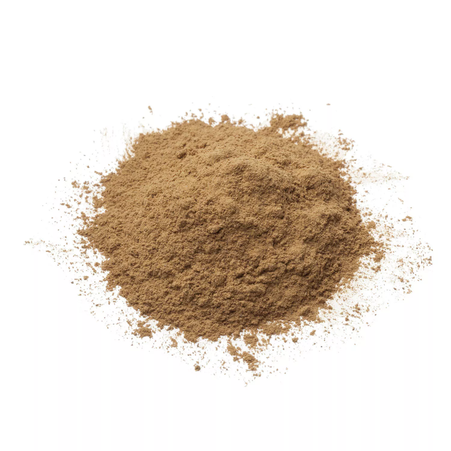 Cordyceps BIO - En Poudre