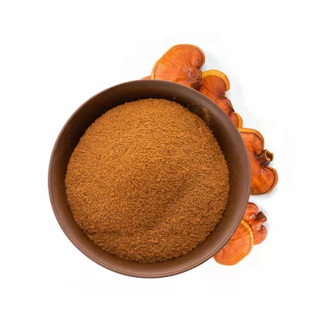 Poudre De Reishi Bio 100g - Complément Alimentaire Vegan, Conditionné En France