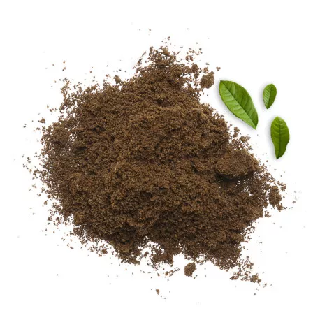 Thé Hojicha Japonais BIO - En Poudre