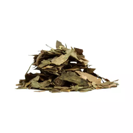 Ginkgo Biloba - Tisane BIO
