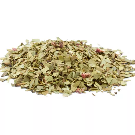 Maté BIO Aux Fruits Rouges - Stimulant & Drainant