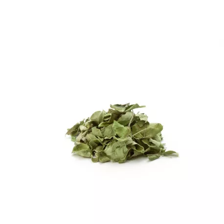 Moringa (Feuilles) - Tisane BIO