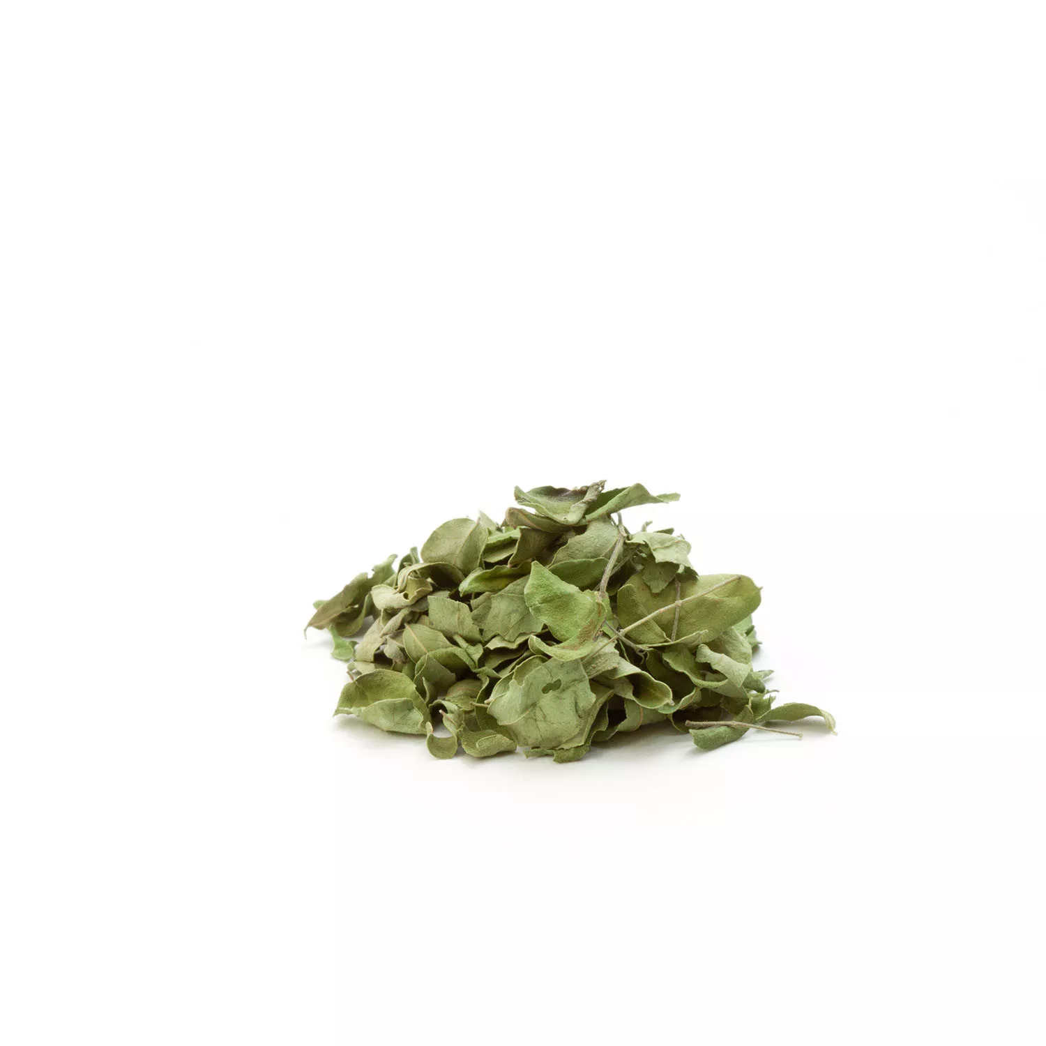 Moringa (Feuilles) - Tisane BIO