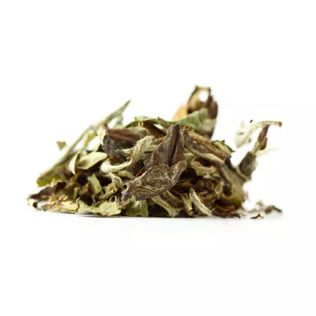 Thé Blanc BIO Bai Mu Dan Premium - Pivoine blanche