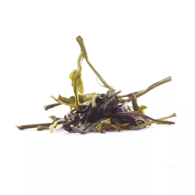 Thé Blanc BIO Ché Chun - Pivoine blanche