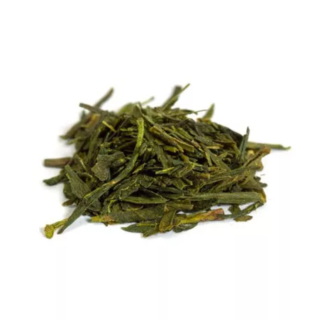 Thé Vert BIO Sencha Fukamushi - Nature