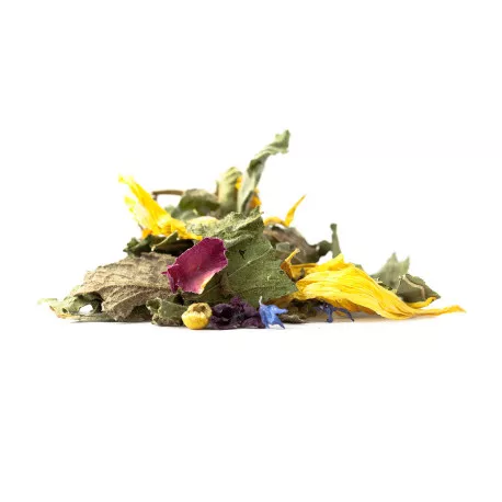Tisane BIO Jardin Enchanté - Menthe, Souci