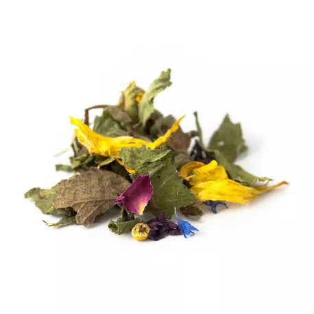 Tisane BIO Jardin Enchanté - Menthe, Souci