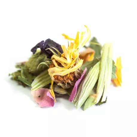Tisane BIO La Nature s'éveille - Pomme, Mélisse