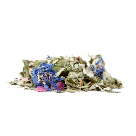 Tisane BIO La Salsa du Printemps - Menthe, Lemongrass