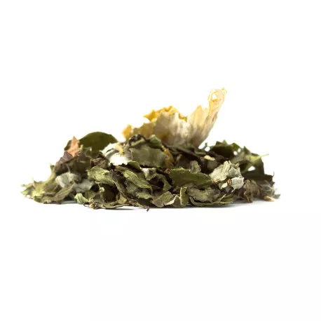 Tisane BIO Par Tous les Temps - Fortifiante