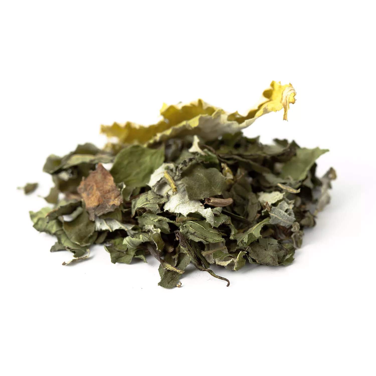 Tisane BIO Par Tous les Temps - Fortifiante