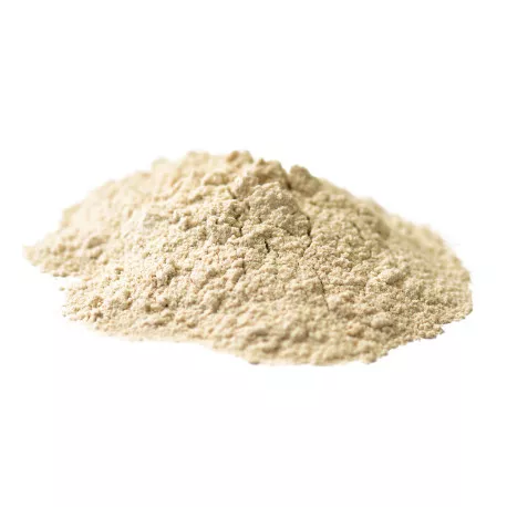 Psyllium blond BIO (téguments en poudre) - riche en fibres