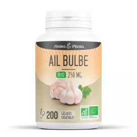 Ail bulbe bio