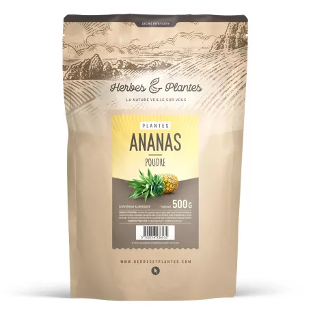 Ananas - En Poudre
