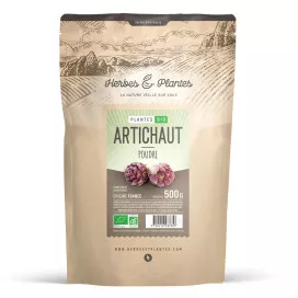 Artichaut bio