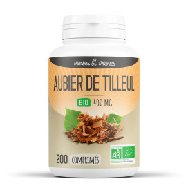 Tilleul bio (aubier) 