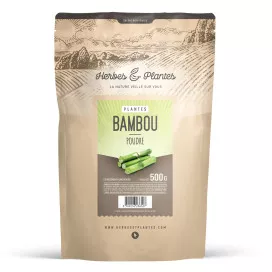 Bambou tabashir