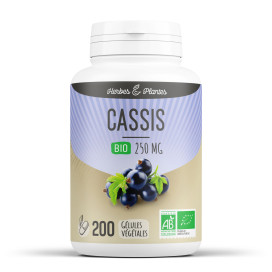 Cassis bio 