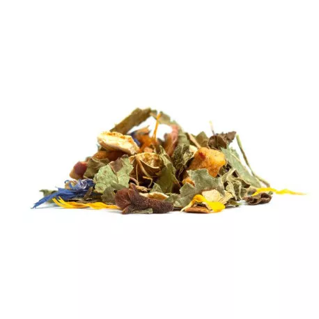 La Tisane de Noël BIO - Cannelle, Mélisse