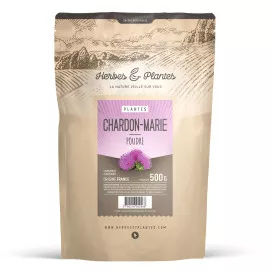 Chardon marie