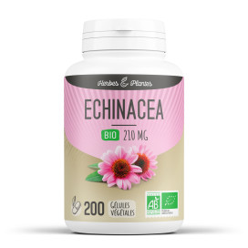 Echinacea bio 