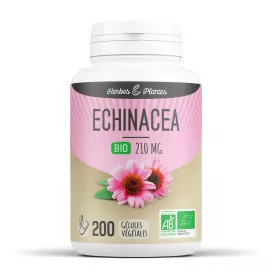 Echinacea BIO