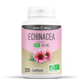 Echinacea bio