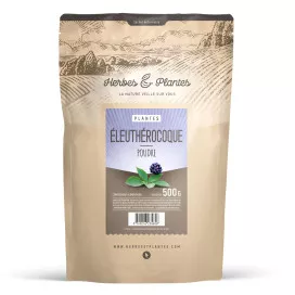 Eleuthérocoque
