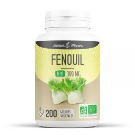 Fenouil bio