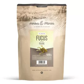 Fucus